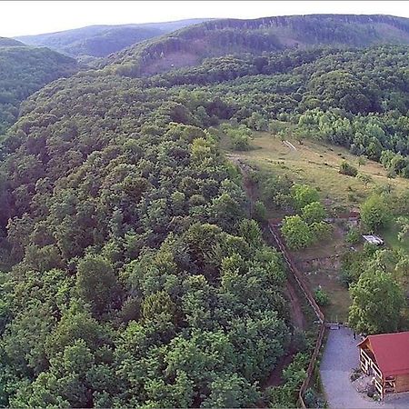 Творча Садиба Svalyava Exterior foto