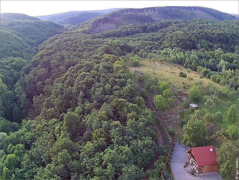 Творча Садиба Svalyava Exterior foto